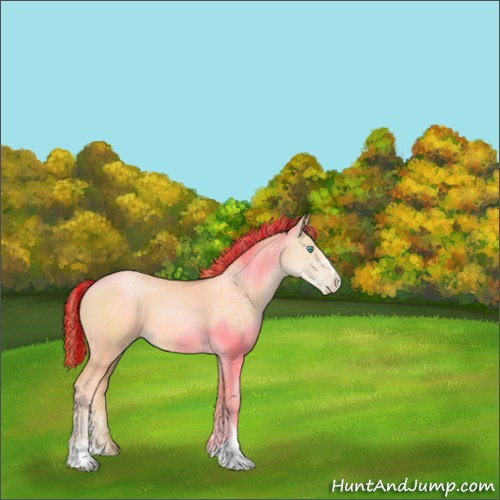 Horse Color:Painted Buckskin Pearl Sabino 