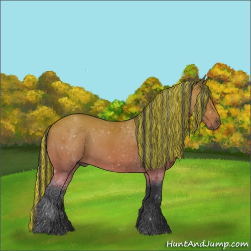 Horse Color:Painted Bay 