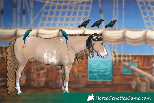 Horse Color:Black Pearl Sabino