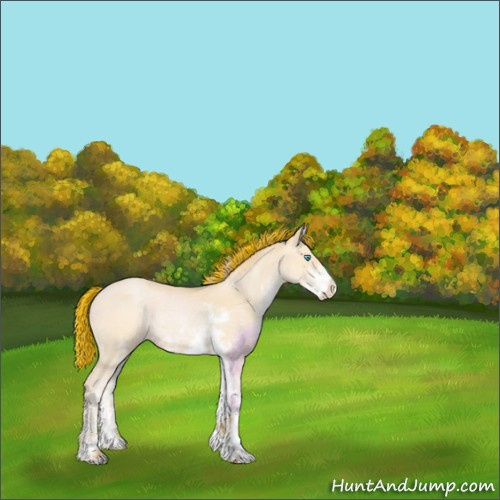Horse Color:Painted Buckskin Pearl Sabino 