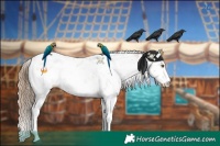 Horse Color:Black Pearl Sabino 