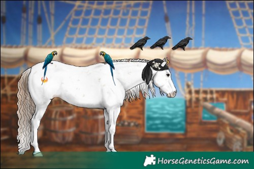 Horse Color:Black Pearl Sabino 