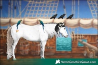 Horse Color:Black Pearl Sabino