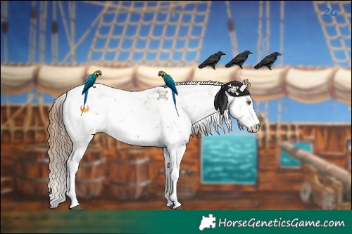 Horse Color:Black Pearl Sabino