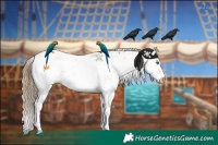 Horse Color:Black Pearl Sabino 