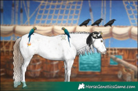 Horse Color:Black Pearl Sabino 
