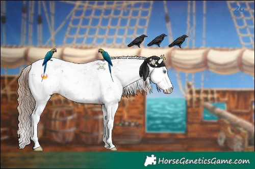 Horse Color:Black Pearl Sabino