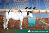 Horse Color:Black Pearl Sabino