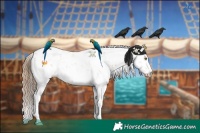 Horse Color:Black Pearl Sabino