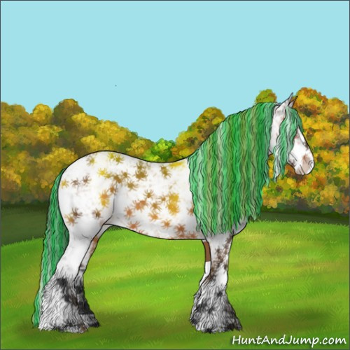 Horse Color:Painted Bay Sabino