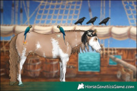 Horse Color:Black Pearl Sabino