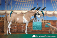 Horse Color:Black Pearl Sabino 