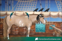 Horse Color:Black Pearl Sabino