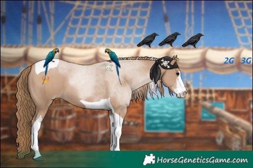 Horse Color:Black Pearl Sabino Tobiano