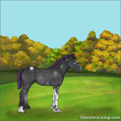 Horse Color:Painted Black Sabino Tobiano 