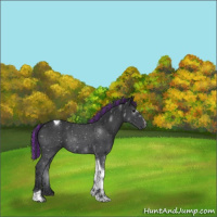 Horse Color:Painted Black Sabino Tobiano
