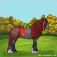 Horse Color:Painted Black Sabino Tobiano