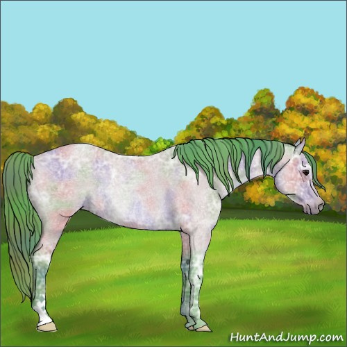 Horse Color:Nacre Watercolor Bay Ice Roan Rabicano