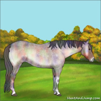 Horse Color:Nacre Liver Red Onyx Roan 