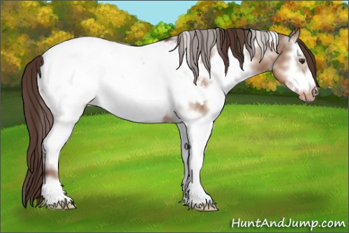 Horse Color:White Spotted Liver Red Dun Frame Snowcap