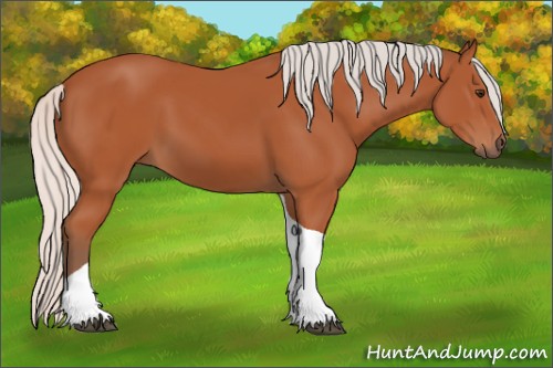 Horse Color:Silver Bay Tobiano 