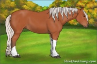 Horse Color:Silver Bay Tobiano