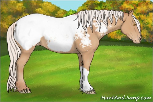 Horse Color:Silver Classic Champagne Snowcap