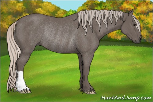 Horse Color:Silver Black Rabicano