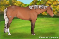 Horse Color:Silver Bay Varnish 