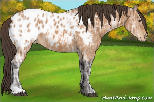 Horse Color:Buckskin Ice Blanket