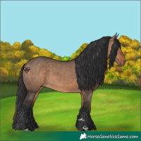 Horse Color:Brown Dun 