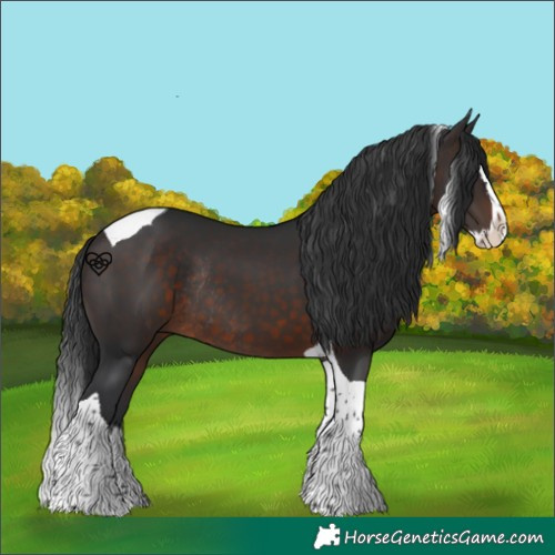 Horse Color:Brown Splash Tobiano Rabicano