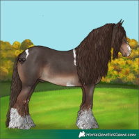 Horse Color:Liver Chestnut Sabino Tobiano Rabicano 