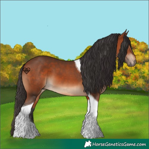 Horse Color:Bay Tobiano 