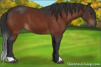 Horse Color:Brown 
