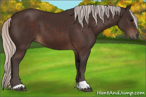 Horse Color:Silver Brown 