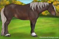 Horse Color:Silver Brown 