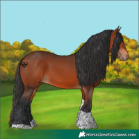 Horse Color:Bay Tobiano Rabicano 