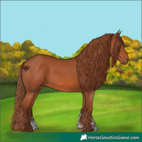 Horse Color:Chestnut Sabino 