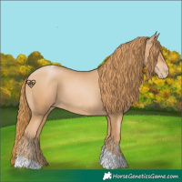 Horse Color:Chestnut Pearl Tobiano 
