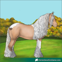 Horse Color:Silver Bay Pearl Tobiano