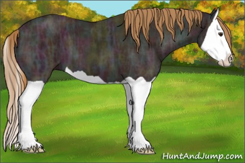 Horse Color:Midnight Chestnut Ice Splash
