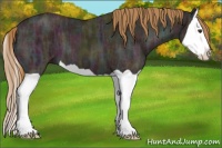 Horse Color:Midnight Chestnut Ice Splash