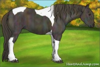 Horse Color:Midnight Buckskin Ice Tobiano 