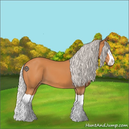 Horse Color:Silver Bay Splash Appaloosa 