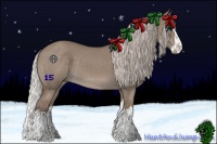 Horse Color:Silver Grullo Splash
