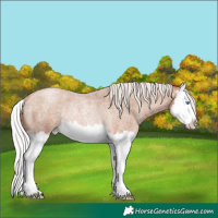 Horse Color:Silver Brown Roan Pearl Splash Rabicano 
