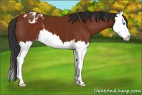 Horse Color:Brown Splash Varnish 