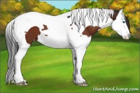 Horse Color:Bay Splash Tobiano Varnish 