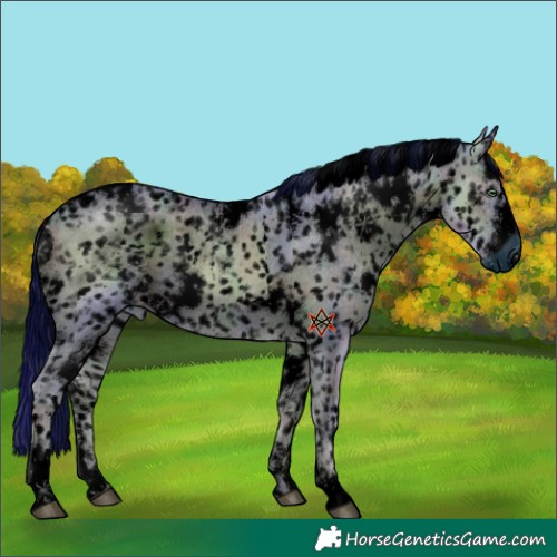 Horse Color:ERROR: UNKNOWN ANOMALY